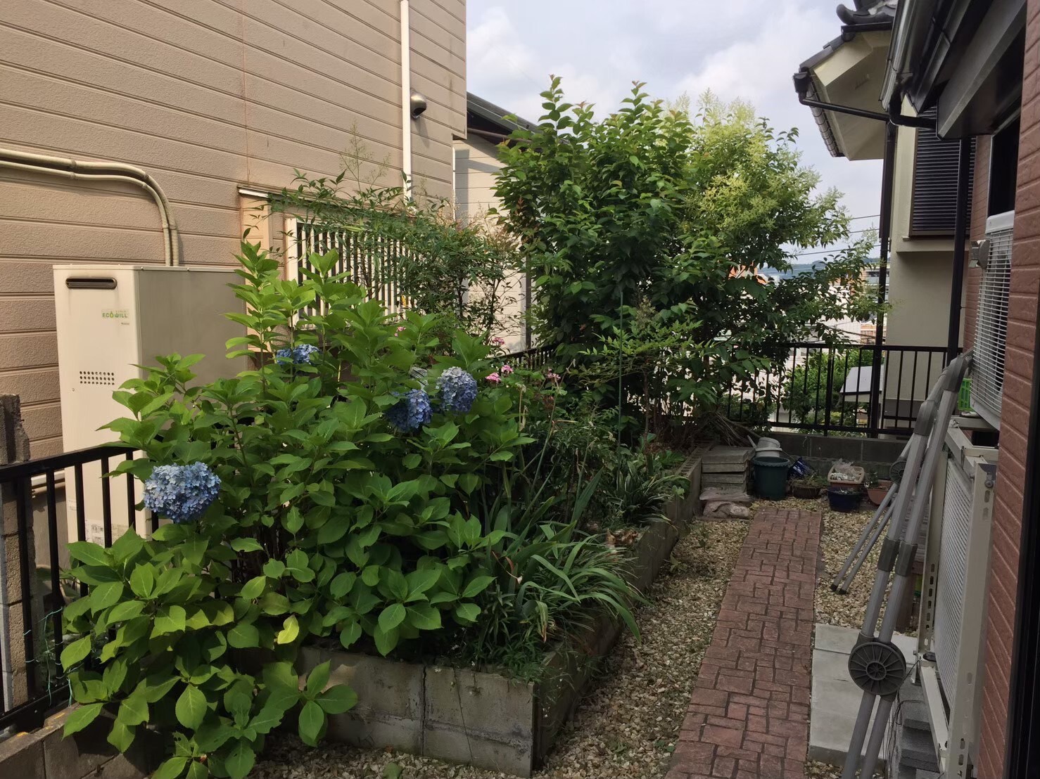 Before
